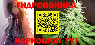 гашик Дубна